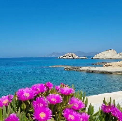 Anassa Milos House *